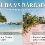 Aruba or Barbados